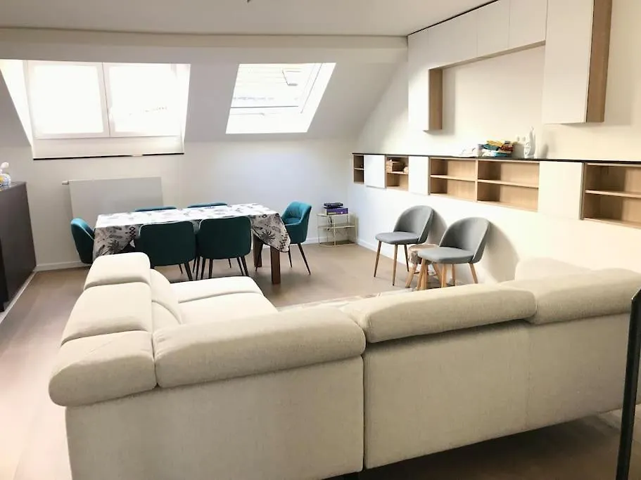 Duplex Avec Terrasse Quartier Europeen Brüksel
